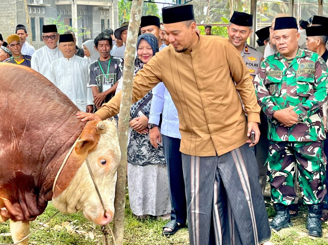 Momen Idul Adha, Pemkab Inhu Salurkan Hewan Qurban dari Presiden 