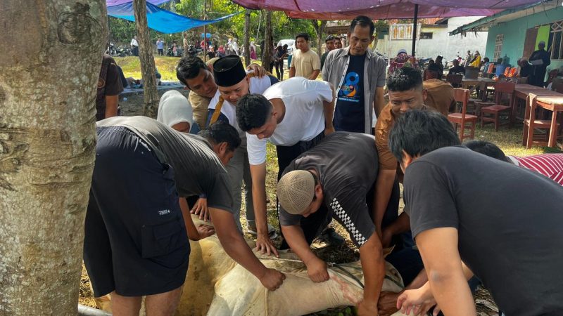 SMSI Madina Laksanakan Qurban di Masjid Madinatul Mukhlisin
