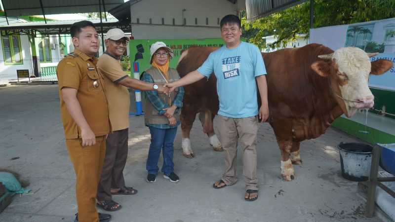 Pemkab Asahan Laksanakan Pemeriksaan Kesehatan Hewan Qurban, Pastikan Hewan Layak dan Sehat