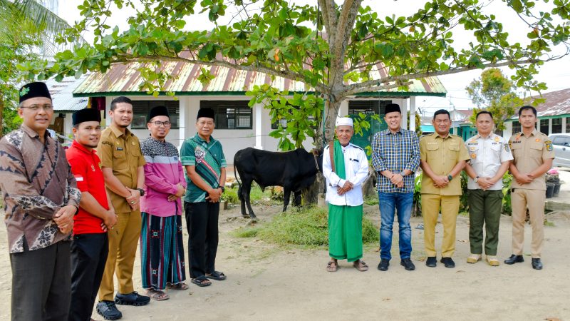 Pemkab Sergai Salurkan Hewan Qurban 173 Ekor Lembu dan 3 Ekor Kambing Pada Hari Raya Idul Adha 1447 H