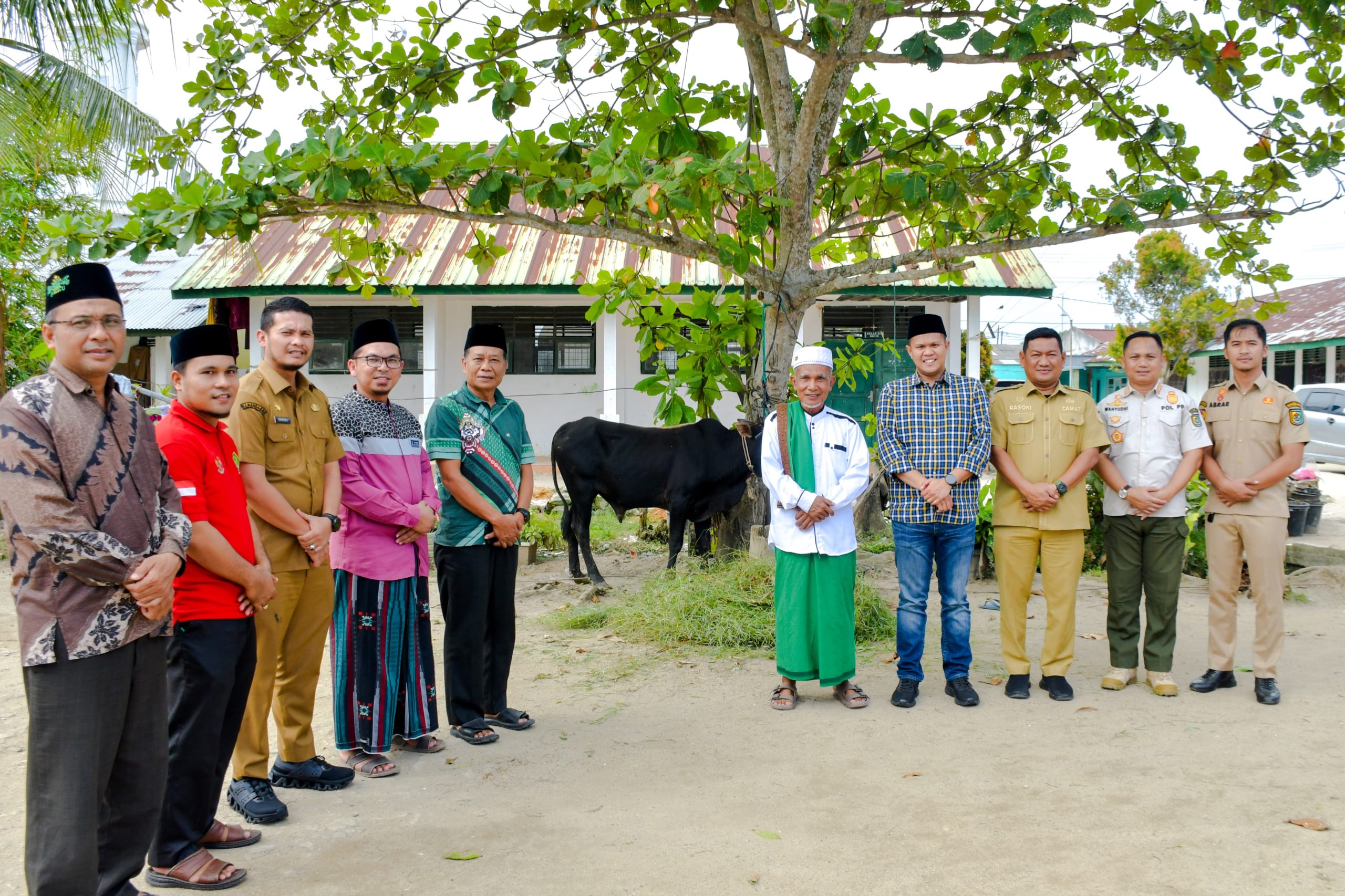 Pemkab Sergai Salurkan Hewan Qurban 173 Ekor Lembu dan 3 Ekor Kambing Pada Hari Raya Idul Adha 1447 H