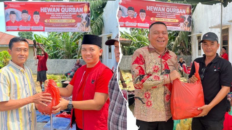 Semangat Berkurban dan Kebersamaan, DPC PDI Perjuangan Sergai Sembelih Dua Ekor Lembu Untuk Warga dan Kader