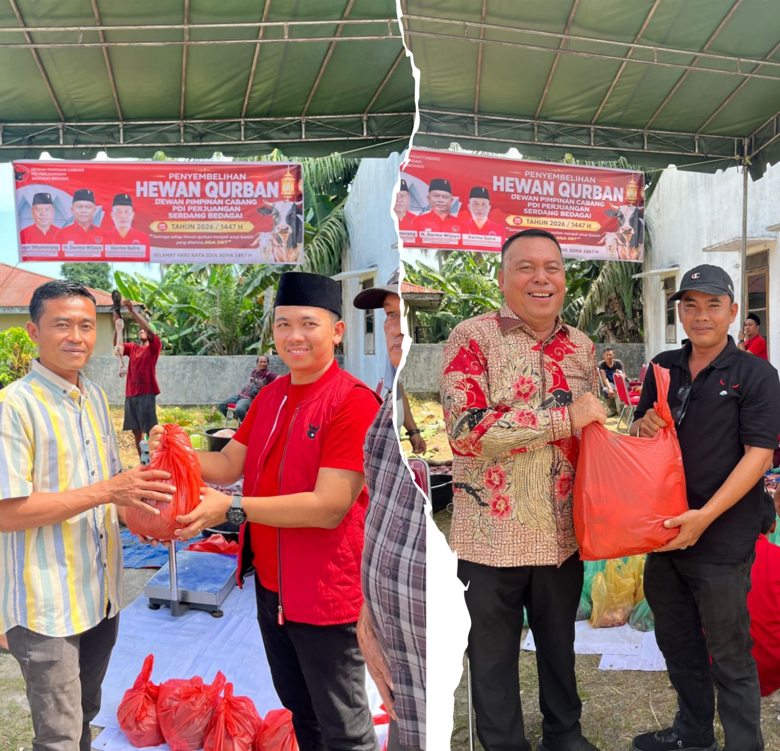 Semangat Berkurban dan Kebersamaan, DPC PDI Perjuangan Sergai Sembelih Dua Ekor Lembu Untuk Warga dan Kader