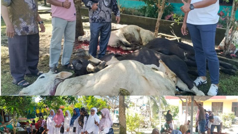 Jalin Kebersamaan di Idul Adha, KKKS SD Negeri se-Kecamatan Tanjung Beringin Sembelih 5 Ekor Hewan Qurban