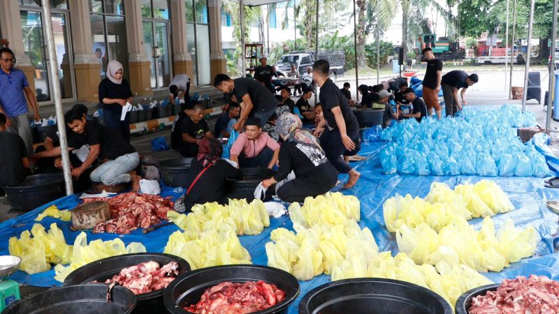 150 Ton Daging Kurban PTPN IV PalmCo Mengalir ke Pelosok Negeri
