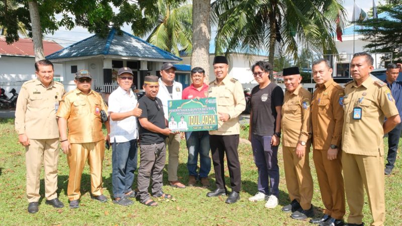 Sambut Hari Raya Idul Adha, Bupati Baharuddin Siagian dan Wakil Bupati Syafrizal Serahkan 61 Ekor Sapi Kurban