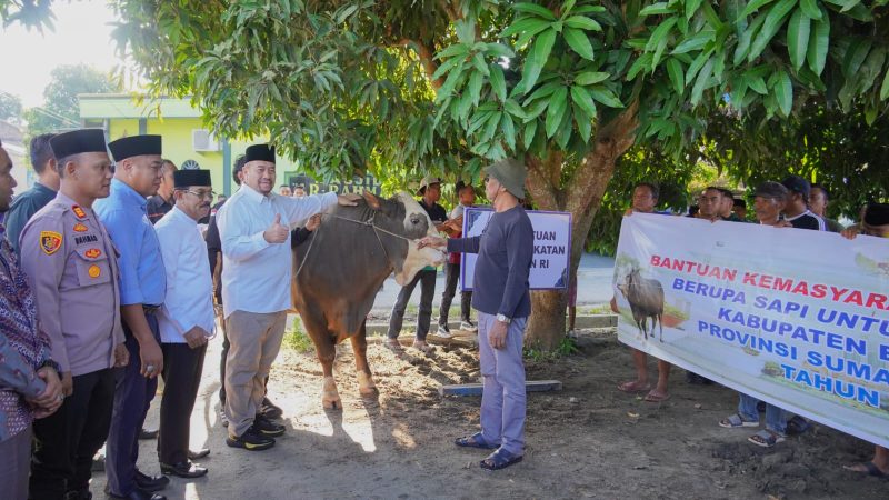Bupati Baharuddin Siagian Apresiasi Bantuan Hewan Kurban Presiden Prabowo untuk Masyarakat Batu Bara