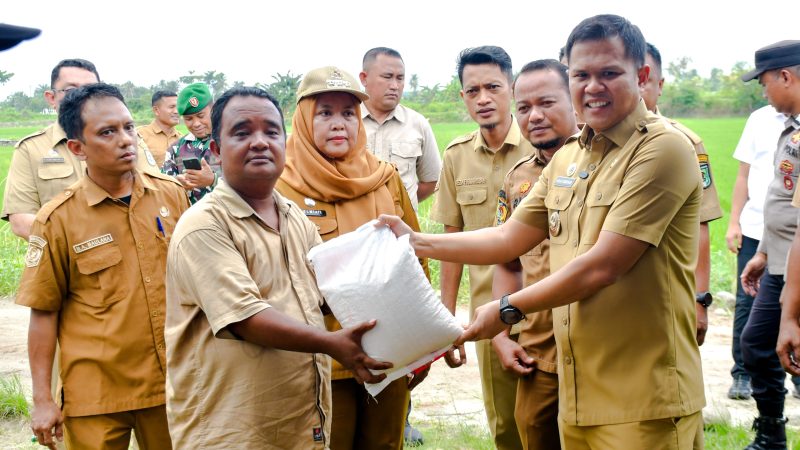 Wabup Adlin Tambunan Serahkan Bantuan Untuk Korban Angin Puting Beliung di Perbaungan