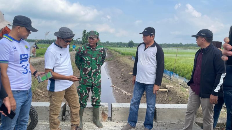 Wabup Inhu Tinjau Kondisi Areal Lahan Persawahan 