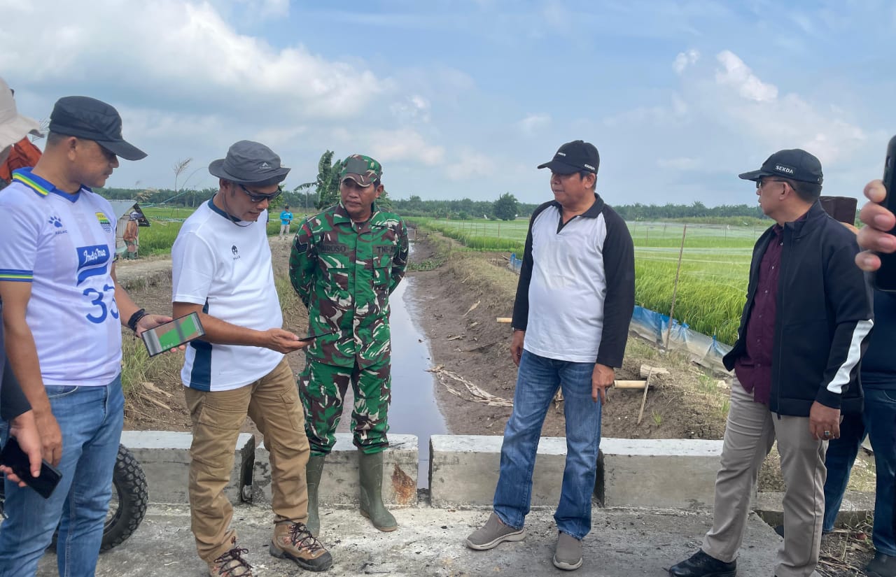 Wabup Inhu Tinjau Kondisi Areal Lahan Persawahan 