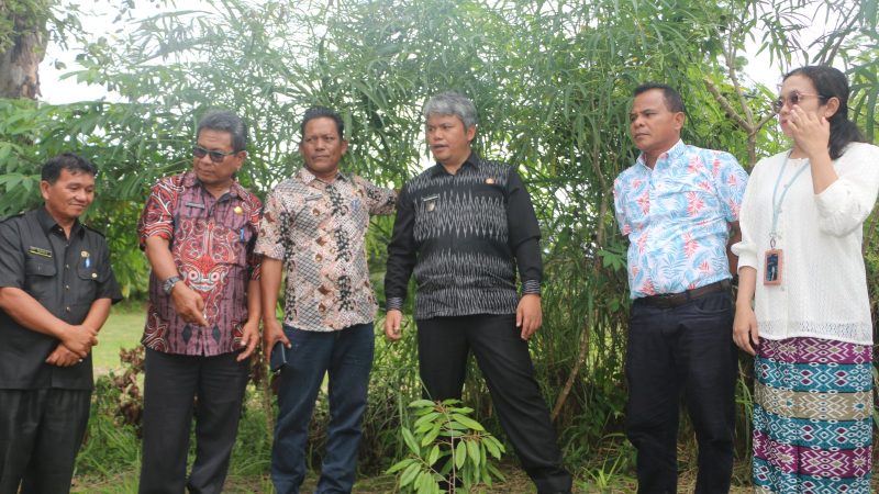 ‎Pemkab Tapanuli Utara gandeng TJSL PT. Taspen (Persero) berikan 1.500 bibit Durian Unggul kepada Kelompok Tani Kecamatan Parmonangan ‎