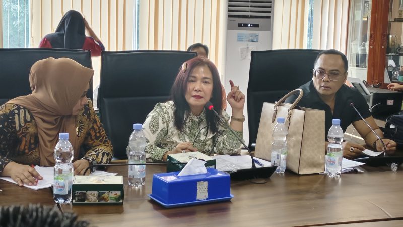 Dame Duma Soroti Banjir Helvetia dan Ancaman Pohon Tumbang di Medan