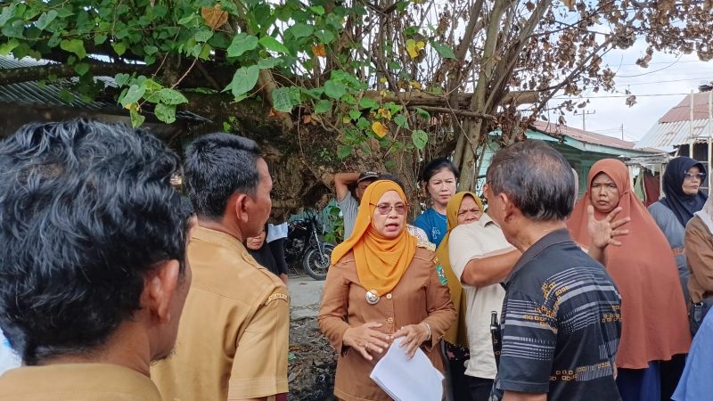 Camat Dolok Batu Nanggar Klarifikasi Pemberitaan Terkait Bangunan Relokasi Pasar Serbelawan