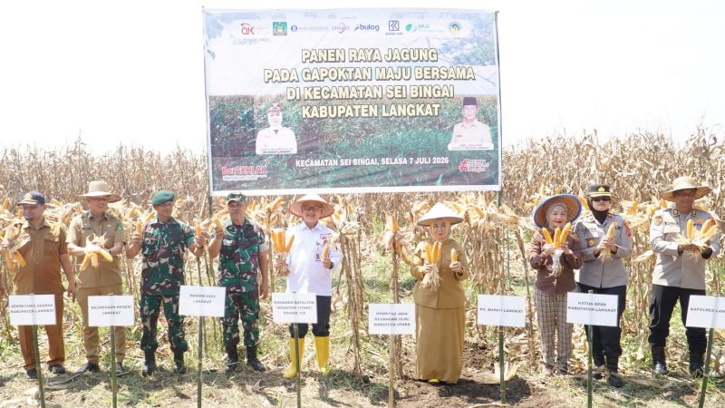 Plt. Bupati Tiorita Pimpin Panen Raya Jagung, Perkuat Swasembada Pangan di Langkat