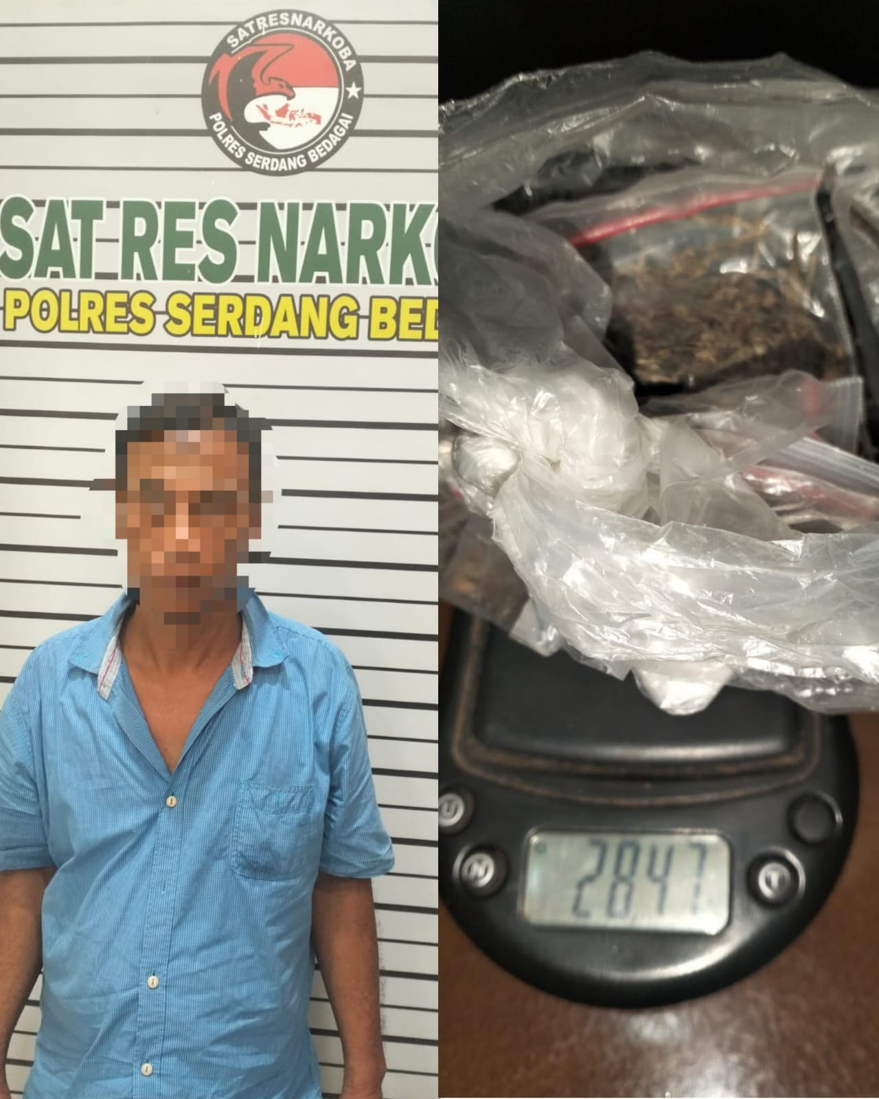 Satres Narkoba Polres Sergai Tangkap Pengedar Ganja di Sei Bamban