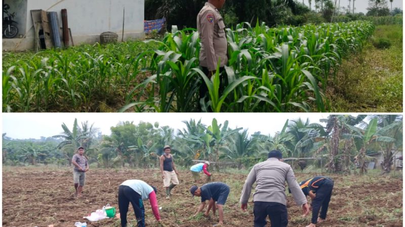 Dukung Swasembada Pangan Nasional, Polres Inhu Lakukan Monitoring Perkembangan Lahan Secara Rutin