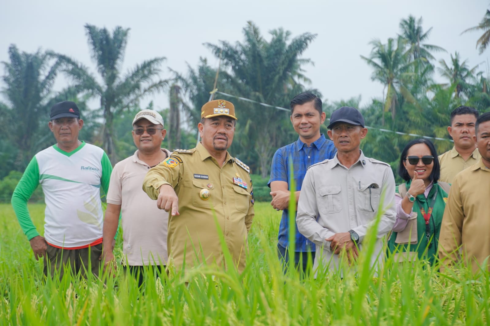 Dorong Penerapan Pertanian Modern, Bupati Baharuddin Siagian Tinjau Persawahan PM-AAS di Desa Suka Raja