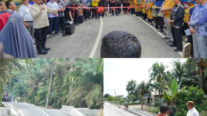 Bupati Baharuddin Siagian Hadiri Syukuran Rampungnya Jalan Aspal Program Inpres Jalan Daerah di Perkebunan Petatal