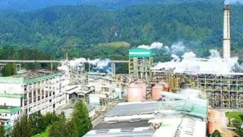 Orang Terkaya Sukanto Tanoto Disorot, Eks Karyawan PT TPL Pertanyakan Pesangon PHK yang Dinilai Tak Adil