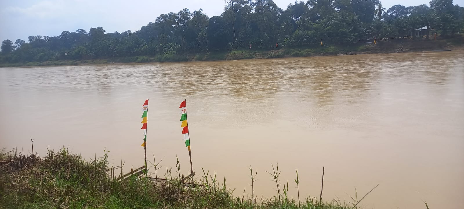 Besok Desa Redang Inhu Gelar Pacu Sampan Mini dan Besar 