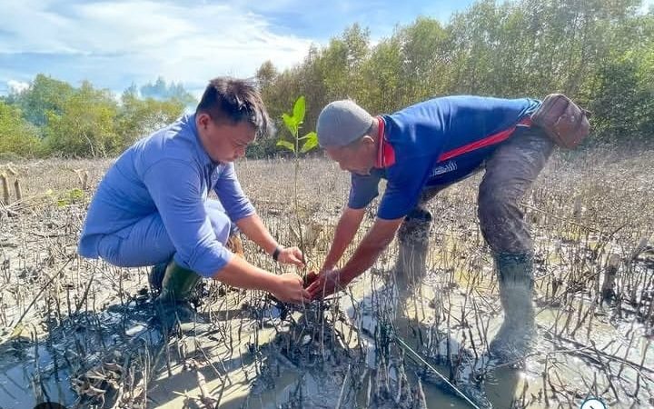 INALUM Komit Jaga Ekosistem Pesisir, Libatkan Masyarakat Tanam 87 Ribu Bibit Mangrove