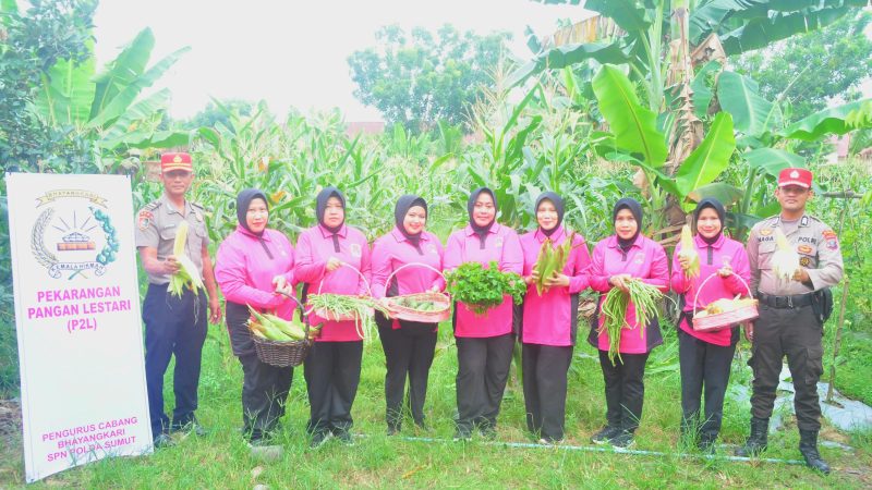 P2L Ketapang Bhayangkari SPN Hinai Dukung Ketahanan Pangan Berkelanjutan