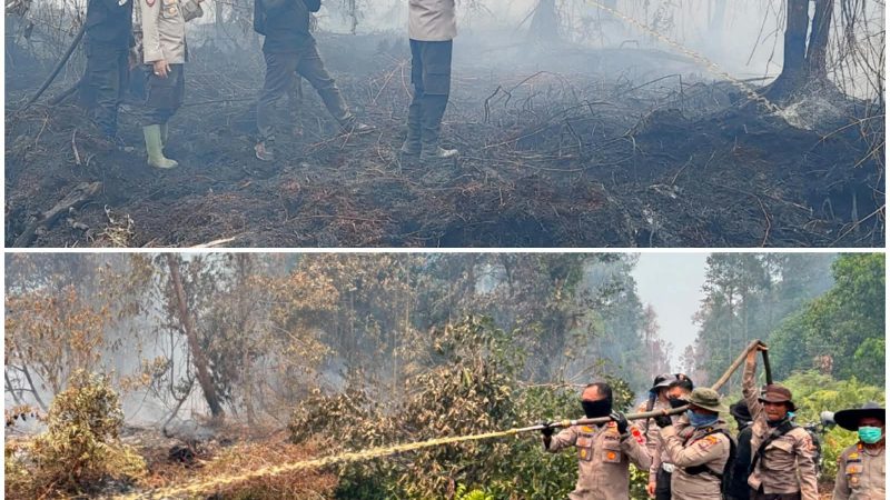 Kapolres dan Wakapolres Inhu Bersama Tim Berjibaku Padamkan Api dan Pendinginan Kebakaran di Lokasi Tanah Sitaan Negara