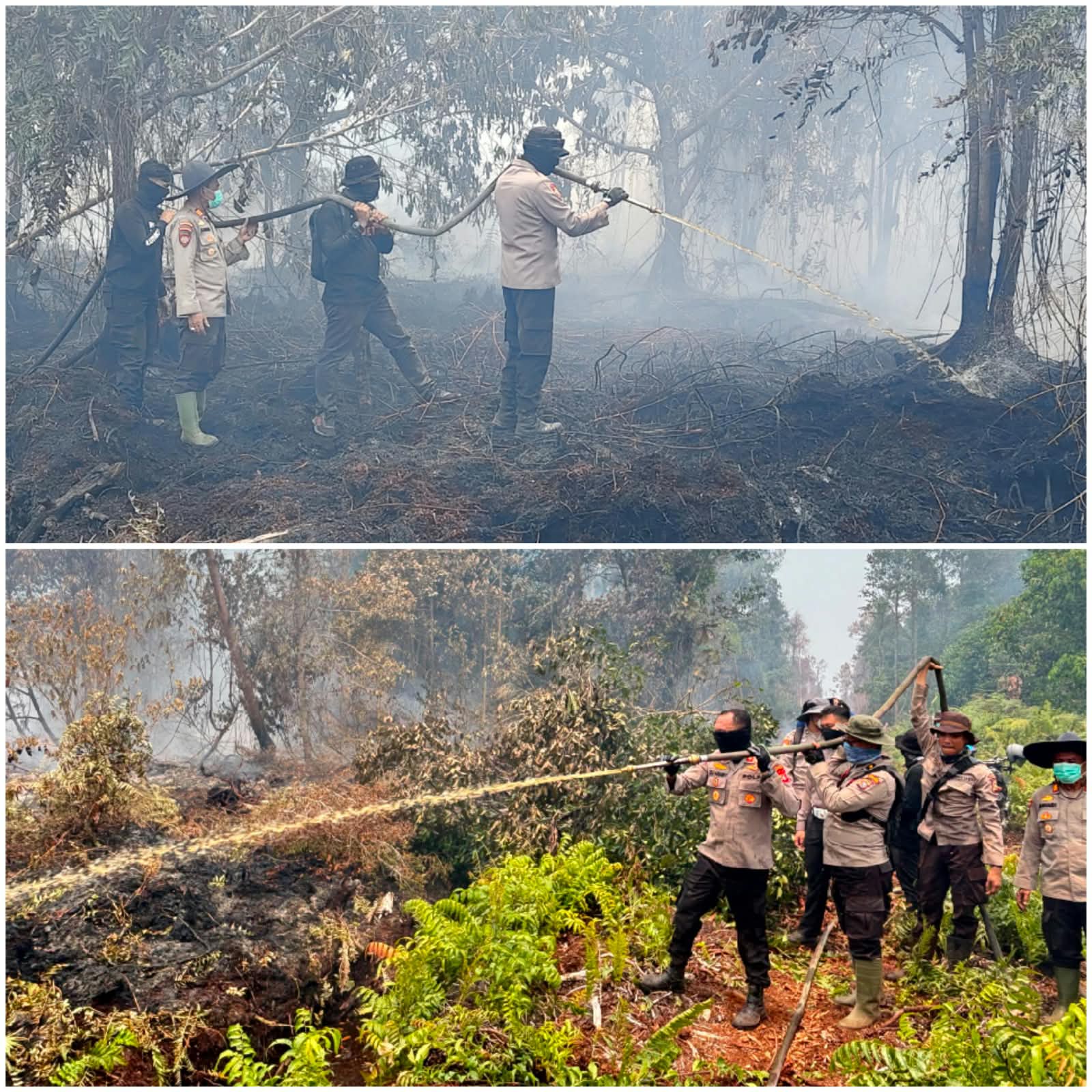 Kapolres dan Wakapolres Inhu Bersama Tim Berjibaku Padamkan Api dan Pendinginan Kebakaran di Lokasi Tanah Sitaan Negara