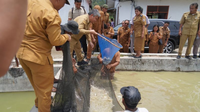 ‎Tinjau BBI Purbatua, Pemkab Taput Dorong Inovasi Budidaya Ikan Air Tawar