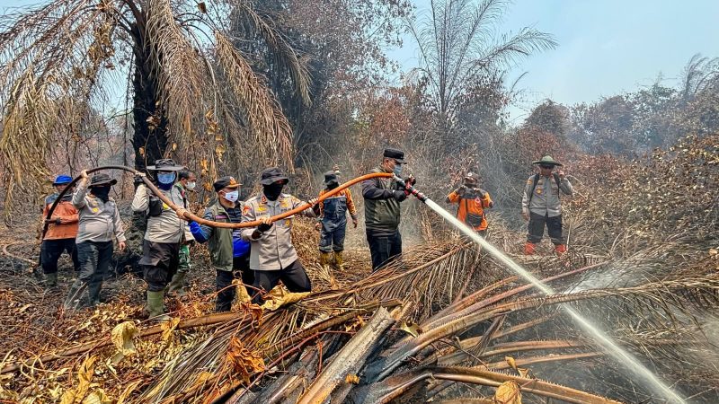 Terjun Langsung  Padamkan Karhutla di Sungai Guntung Hilir, Bupati dan Kapolres Inhu Apresiasi Perjuangan Tim Gabungan