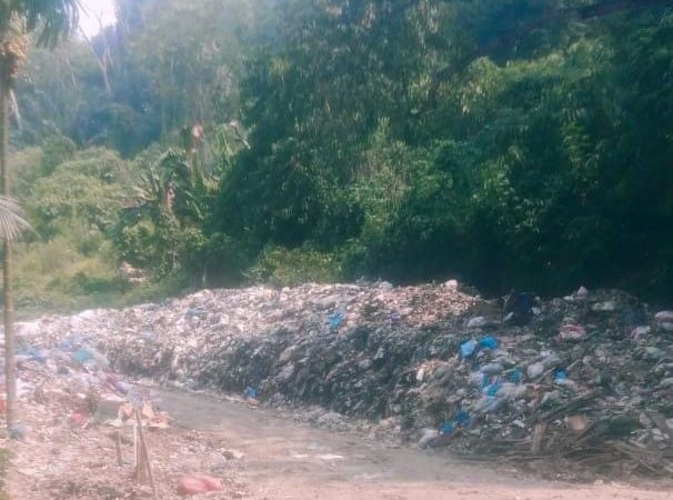 Tumpukan Sampah Di Jalan Menuju TPA Batang Gadis, Bukti Pemda Madina Tidak Becus Tangani Permasalahan Sampah