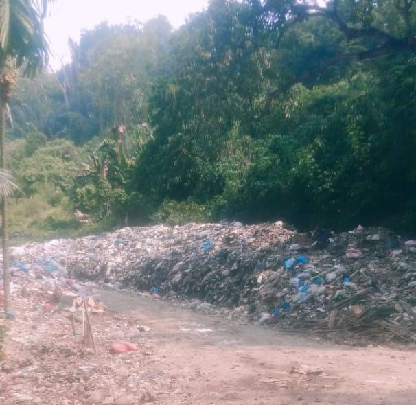 Tumpukan Sampah Di Jalan Menuju TPA Batang Gadis, Bukti Pemda Madina Tidak Becus Tangani Permasalahan Sampah