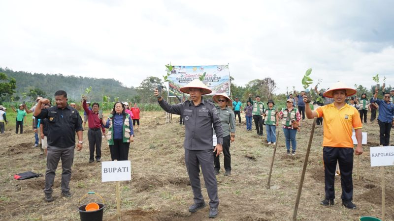 ‎Dorong Kesejahteraan Petani, Pemkab Tapanuli Utara Gerakkan Penanaman 2,2 Juta Batang Kopi Arabika ‎