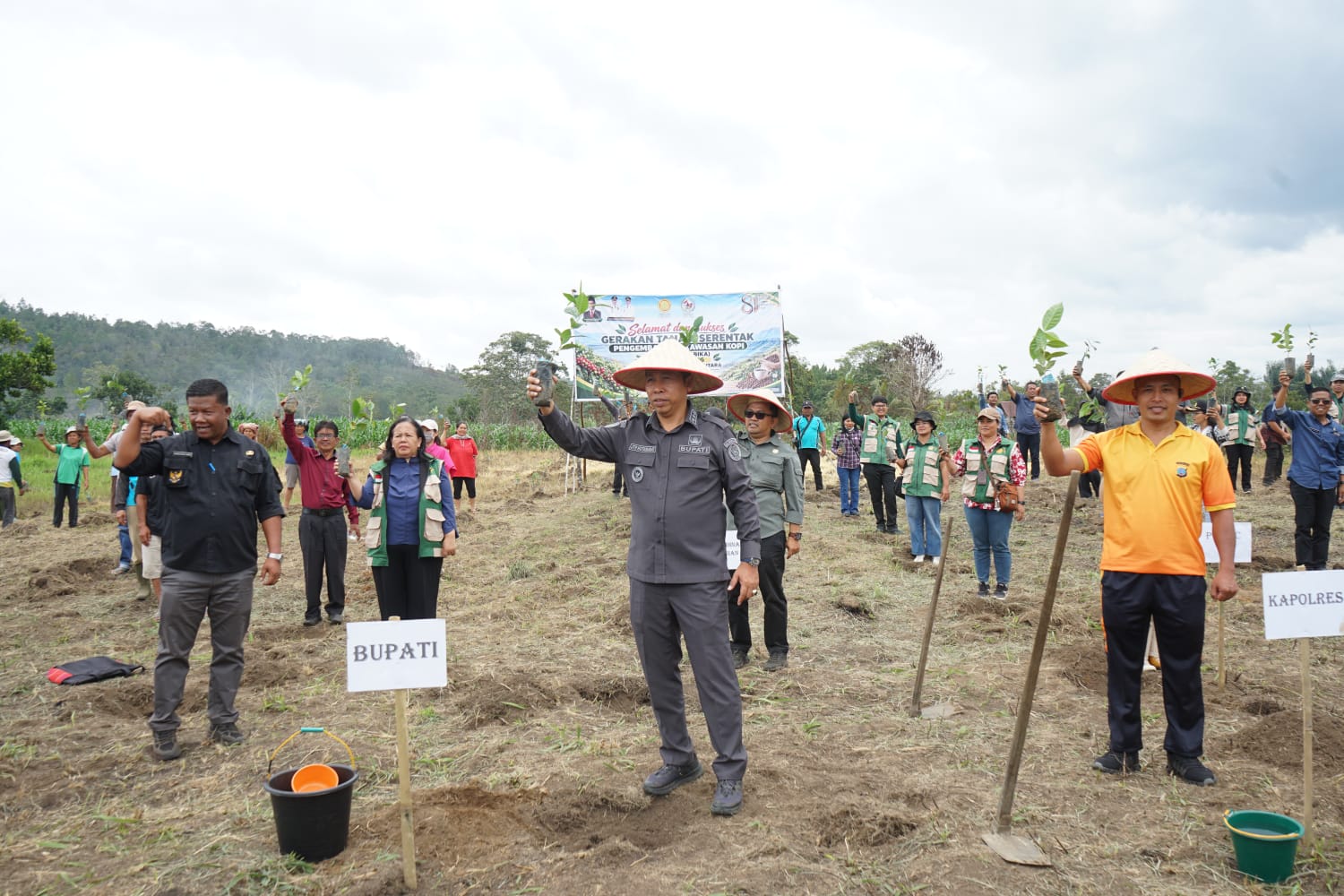 ‎Dorong Kesejahteraan Petani, Pemkab Tapanuli Utara Gerakkan Penanaman 2,2 Juta Batang Kopi Arabika ‎