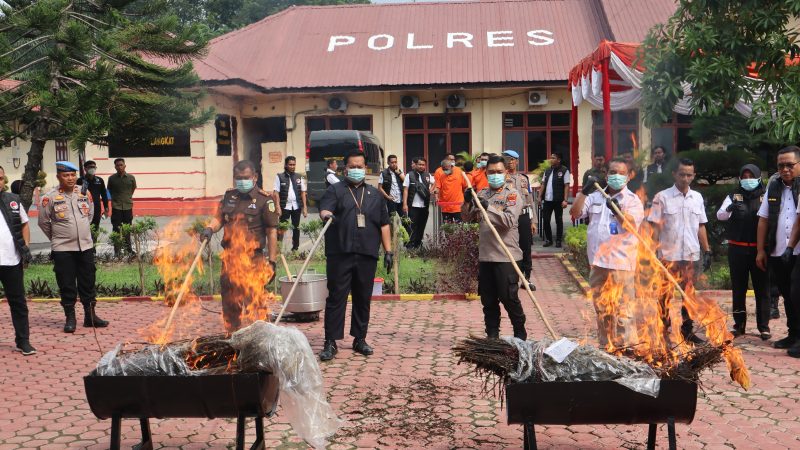 Polres Langkat Tegas Musnahkan Barang Bukti Narkotika: Sabu, Pil Ekstasi, dan Ganja Dihancurkan Secara Terbuka