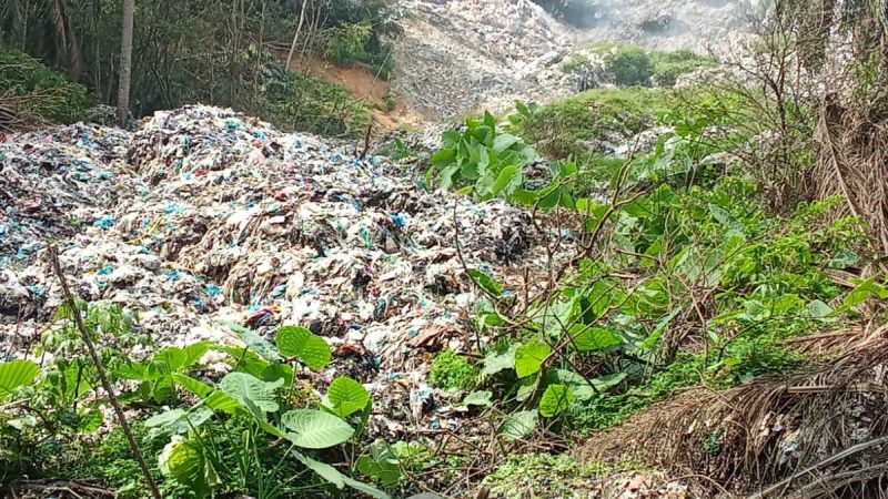 Satu Tahun Tanpa Solusi: Kebakaran Kebun Sawit Warga Berbatas TPA Tangkahan Durian diduga Kelalaian Petugas Masih Menggantung