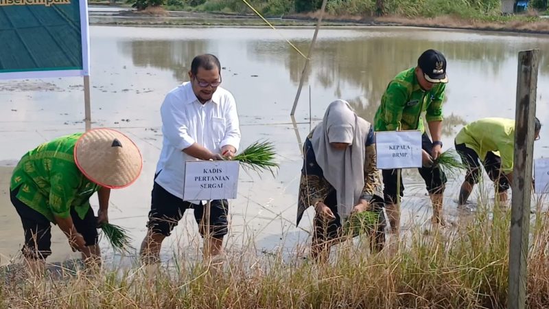 Dukung Kesejahteraan Petani, Kinerja Dinas Pertanian Sergai Tuai Apresiasi