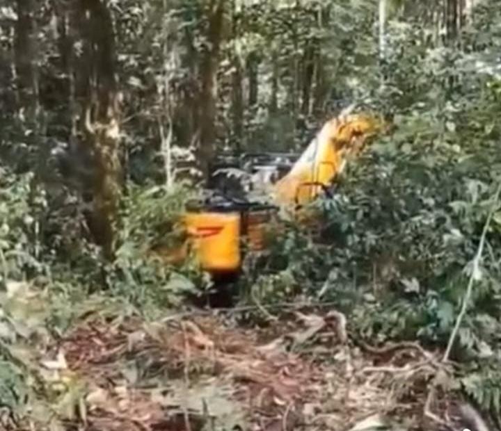 Balai TNBG Dibiayai Negara Miliaran Rupiah, Pelaku PETI Pasaman Barat Terus Keruk SDA Madina